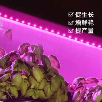 種植植物哪些情況使用植物補(bǔ)光燈？